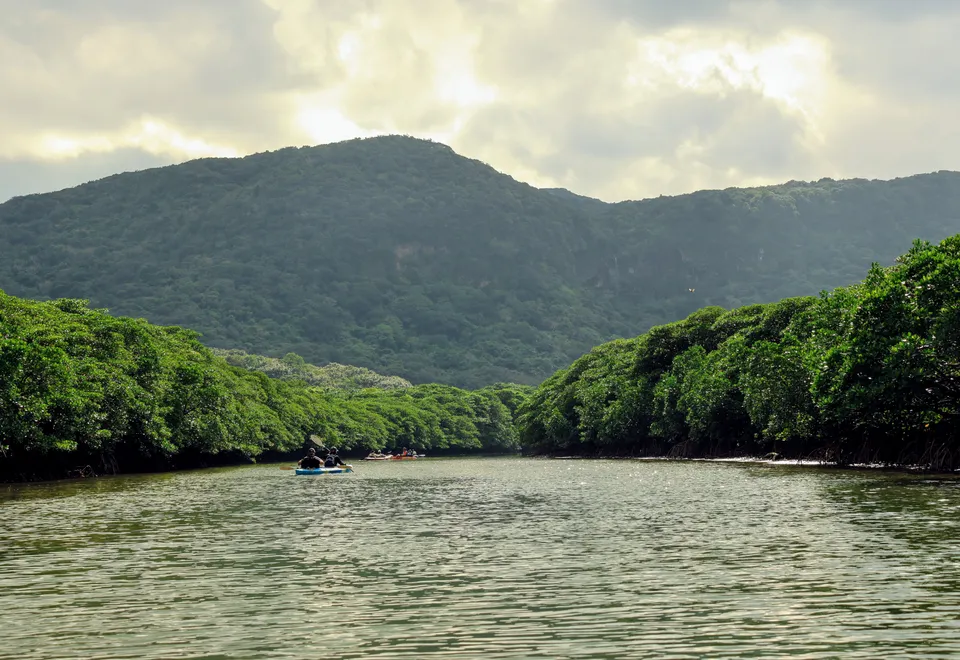 Kayaktour durch die Natur Iriomotes