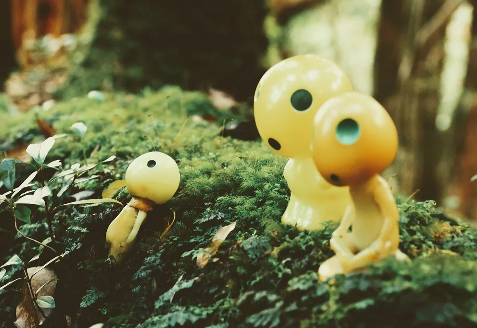 Perfekter Lebensraum für Kodamas - Waldgeister