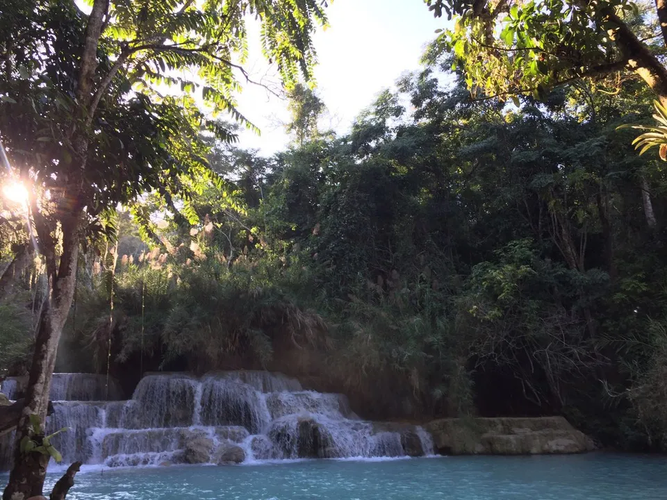 Wasserfall im Dschungel 