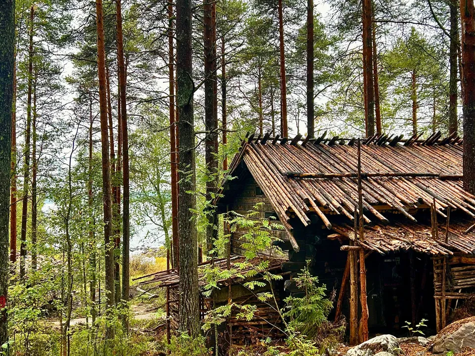 Zwischen Kiefern und See: Traditionelles karelisches Holzhaus in Bomba