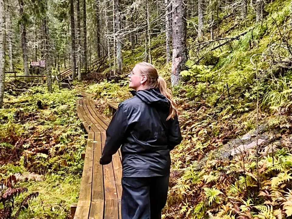 Huutvanholma Trail: ein Waldspaziergang im grünen Tahko