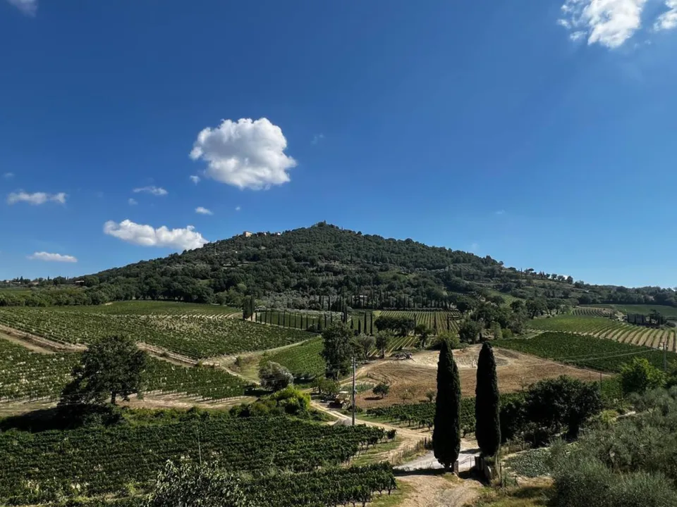 Blick vom Weingut in Richtung Montalcino