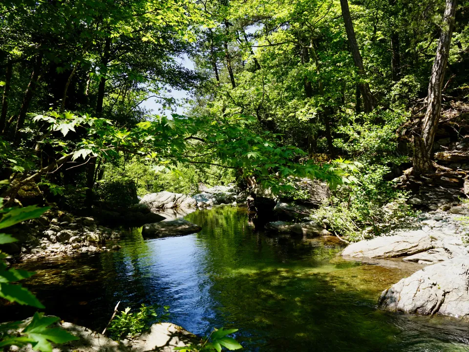 Die Landschaft beeindruckt mt dicht bewaldeten Ufern und felsigen Abschnitten.