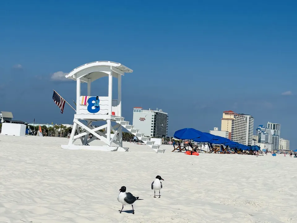 Dieser ikonische Rettungsschwimmerturm am  Strand von Clearwater Beach in Florida.