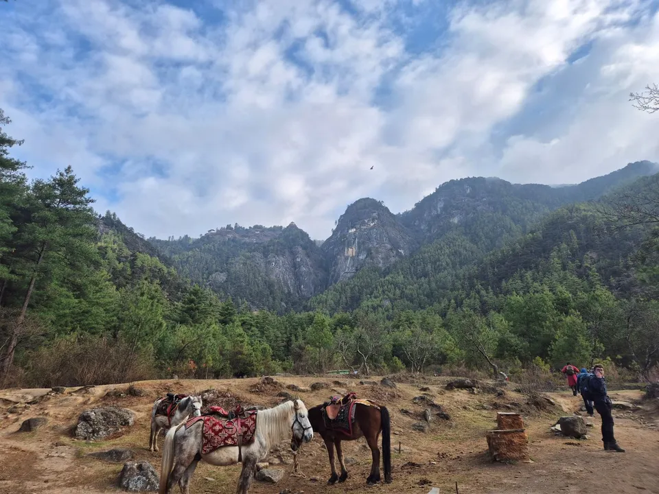 Wanderung zum Tiger Nest