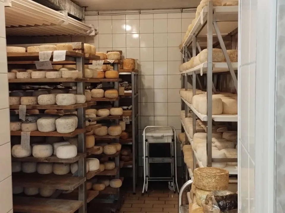 Pecorino Käseherstellung in Podere Il Casale 