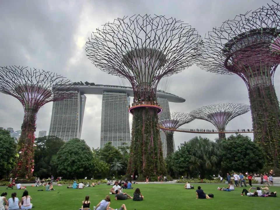 Supertrees im Gardens by the Bay