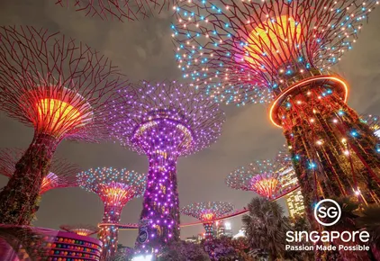 Cityscape Lights Skyline Architecture Water, Marina Bay Sands Singapore