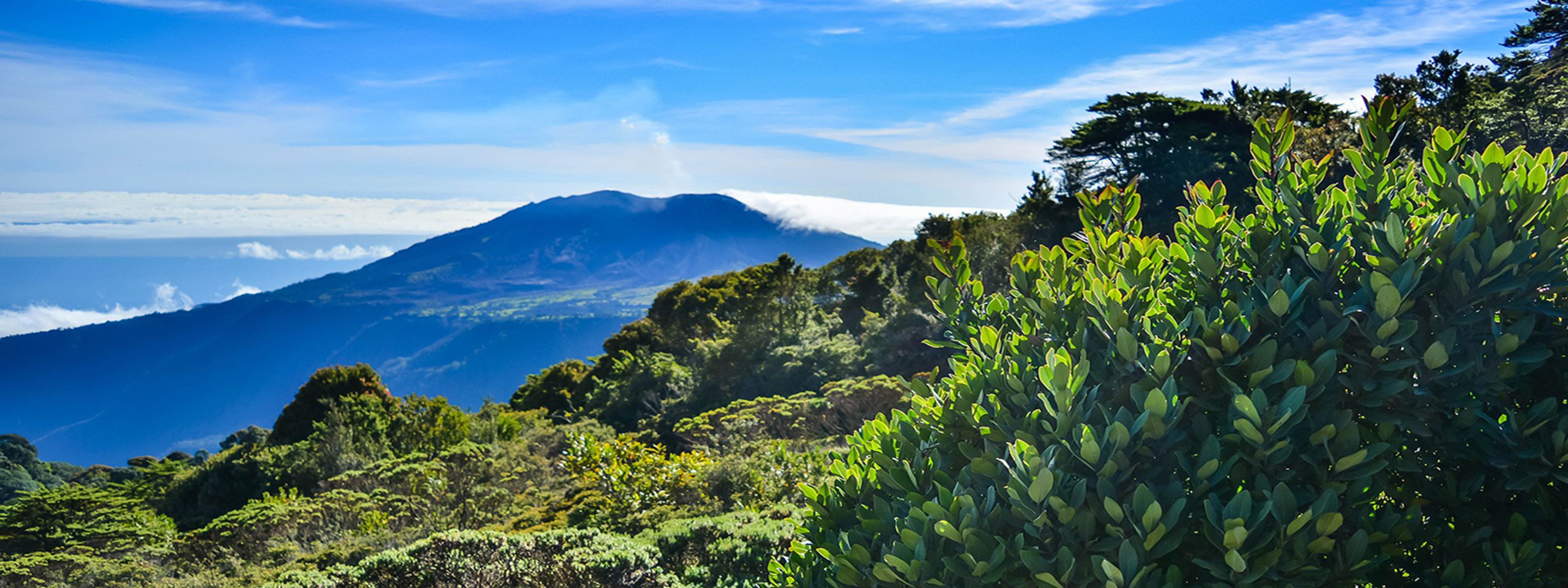 Panorama über herrliche Berge und den Regenwald, Costa Rica