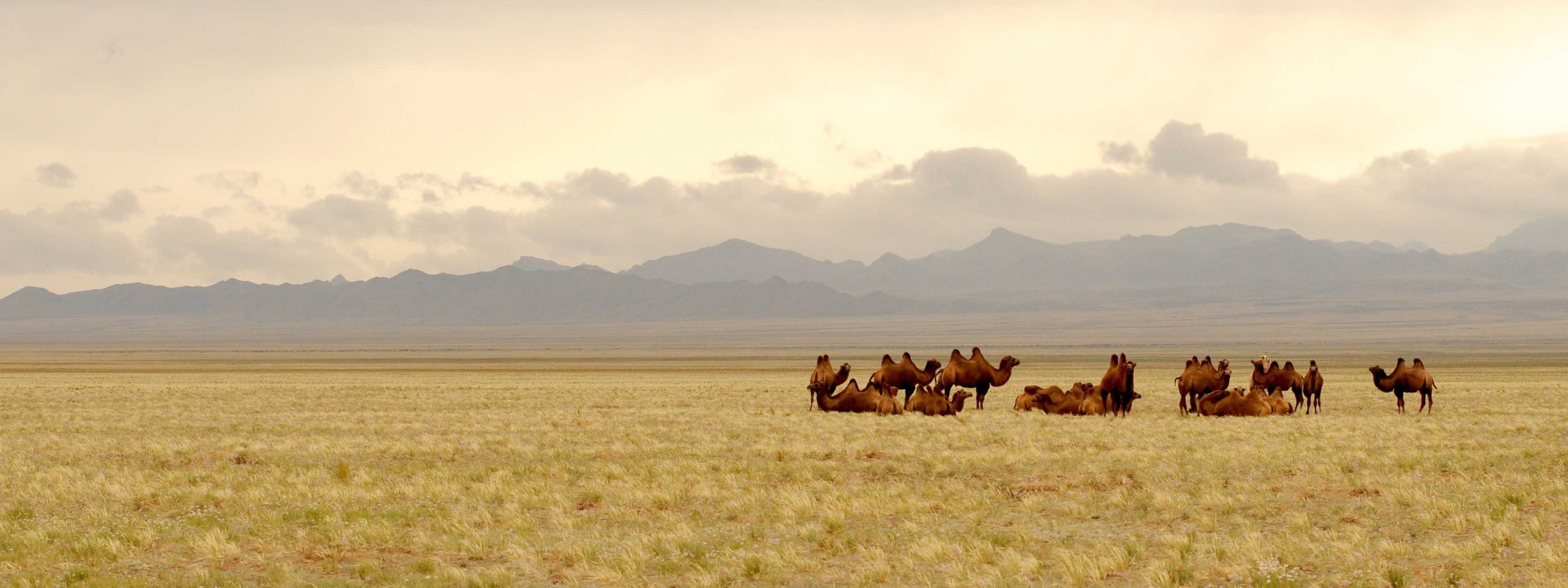 Naturwunder der Mongolei - mit Übernachtungen in der 