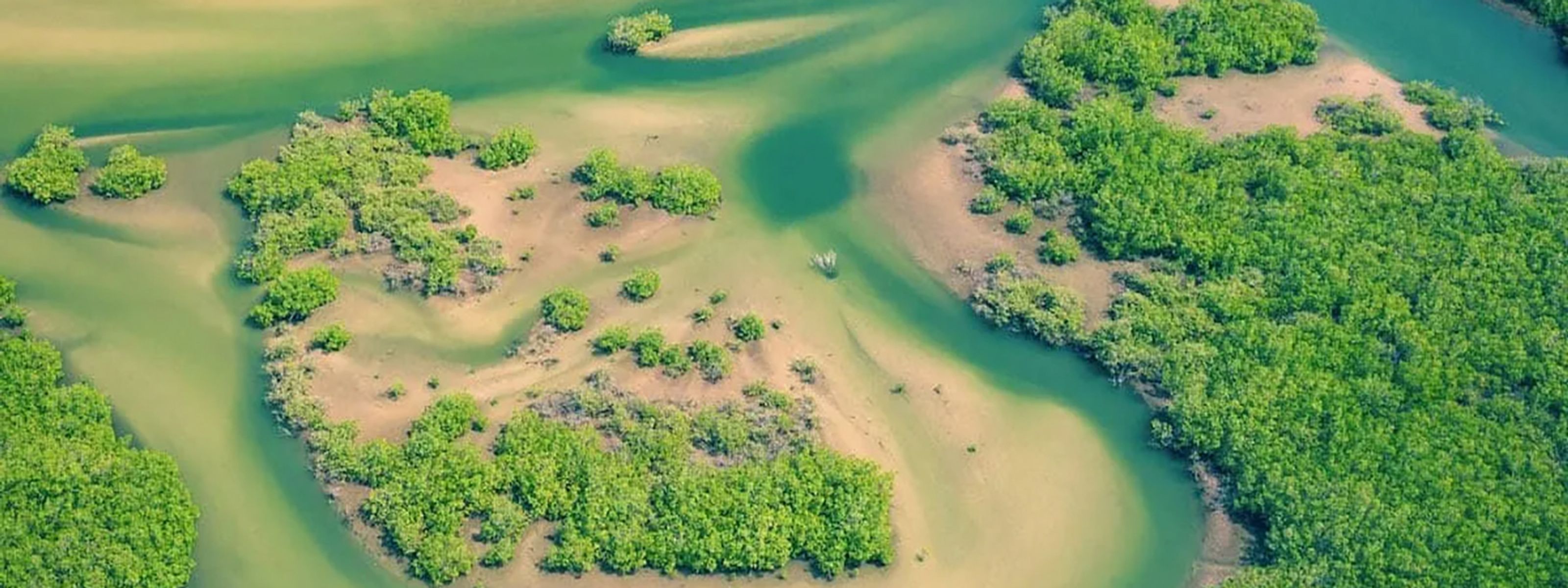 Senegal