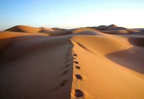 Wahiba Sands-Wüste