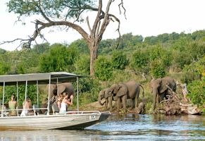 Safari am Chobe Fluss © Sanctuary Retreats
