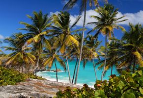 Traumhafte Bucht auf Barbados
