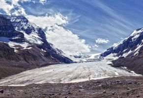 Columbia Icefield, Athabascagletscher