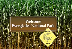 Everglades-Nationalpark