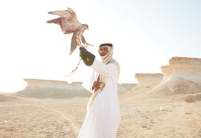 Die Falkenzucht hat in Katar Tradition, der Raubvogel gilt als Statussymbol