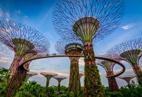 Gardens by the bay in Singapur