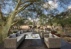 Luxus auf Ihrer Südafrika Reise – die & Beyond Ngala Safari Lodge