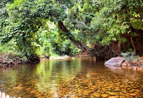 Fluss im Dschungel, Nordthailand