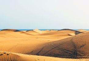 Die Wanderdünen-Wüste von Maspalomas