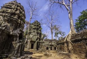 Ta Prohm Tempel, Kambodscha