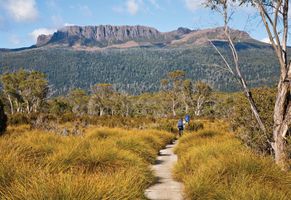 Eine Reise nach Tasmanien beeindruckt vor allem durch großartige Natur