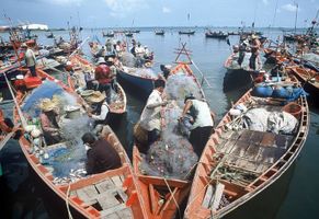 Die Fischer vom Tonle Sap See
