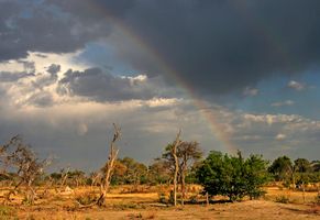 Landschaft in Botswana
