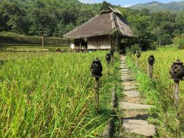 Kamu Lodge, zwischen Reisfeldern und Regenwald