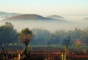 Morgennebel im Hochland unweit vom Inle See, Myanmar Reise