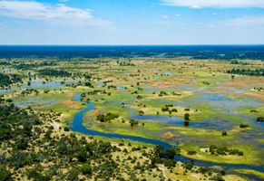 Ausblick auf das Okavango-Delta