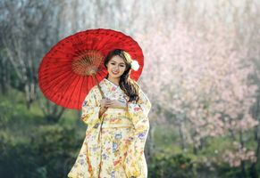 Traditionell gekleidete Geisha