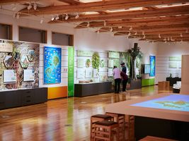 Oki-Inseln, Geopark-Museum