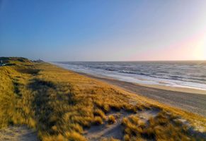 Landschaft mit Dünen am Strand, Sylt