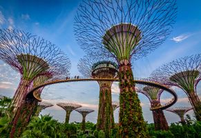 Die berühmten Gardens by the Bay, Singapur