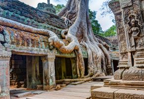 Tempel Ta Prohm, Kambodscha © aiisha, AdobeStock