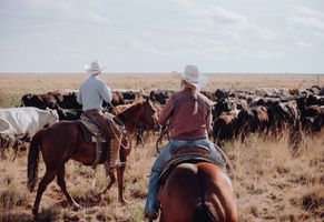 Cowboys