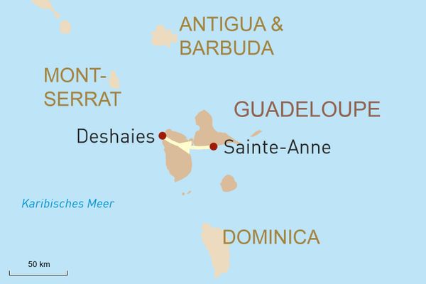 Karibik Reise individuell: Guadeloupe per Mietwagen entdecken