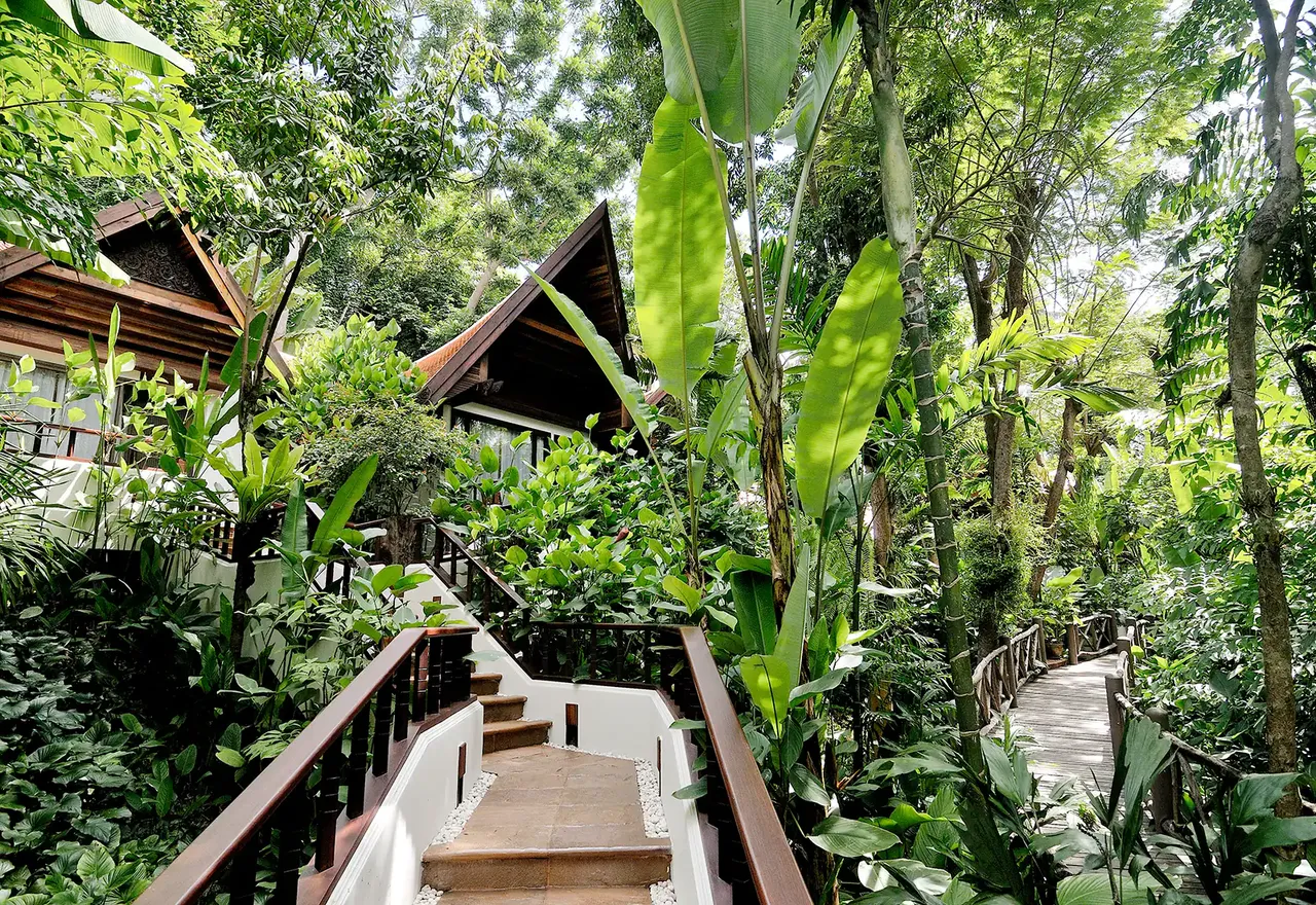 отель джунгли