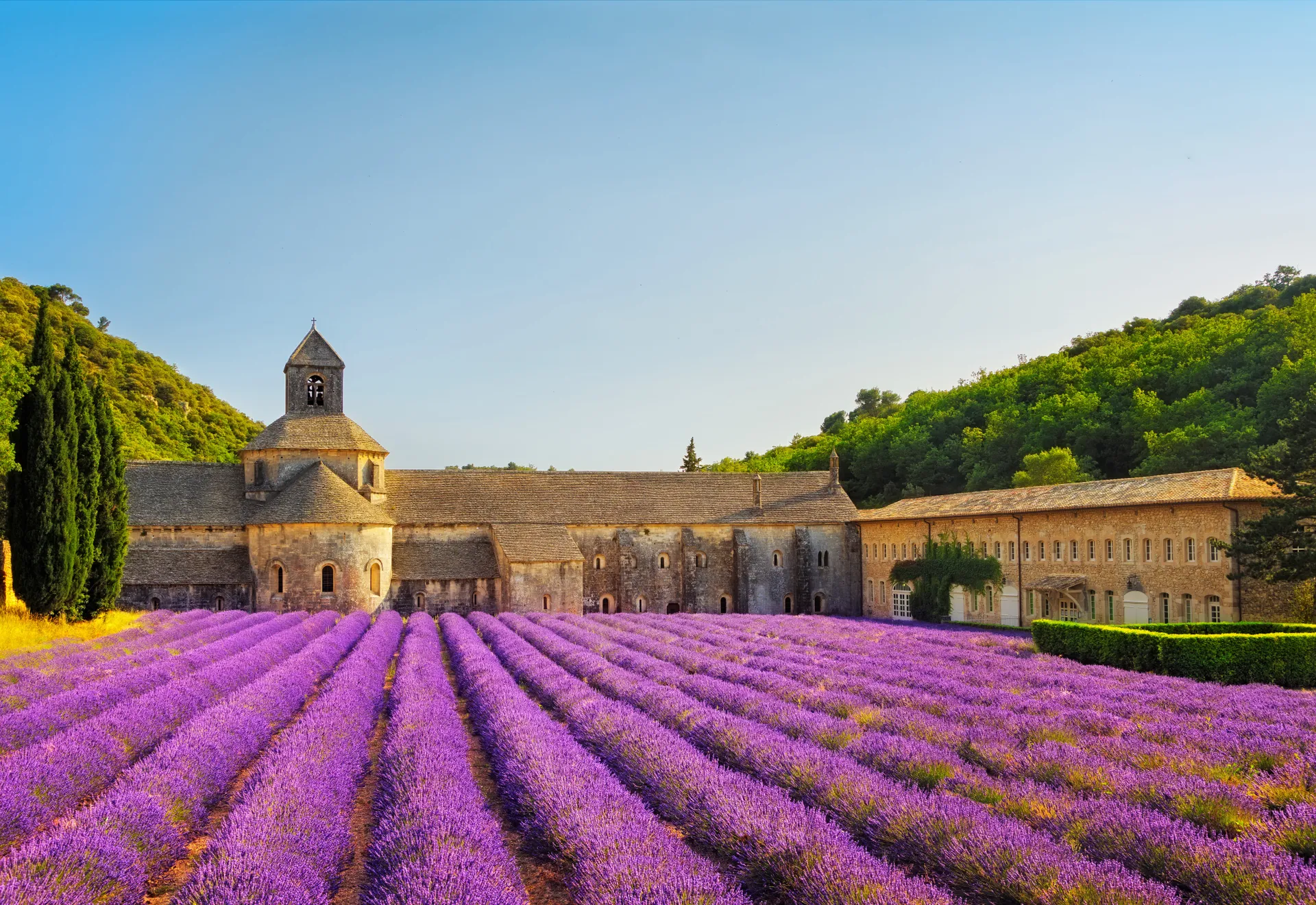 Lavendelfelder in der Provence