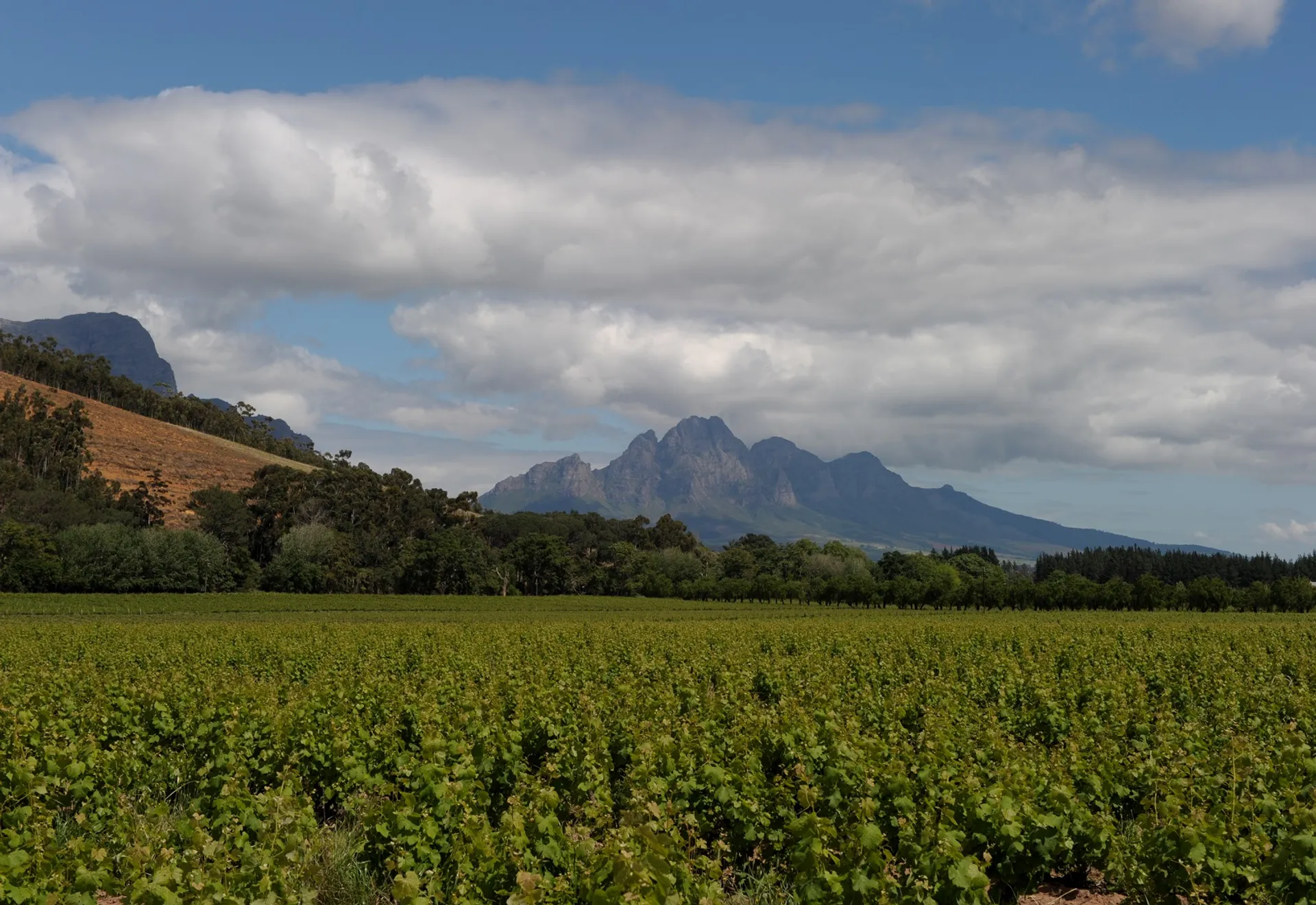 Die Winelands, Südafrika