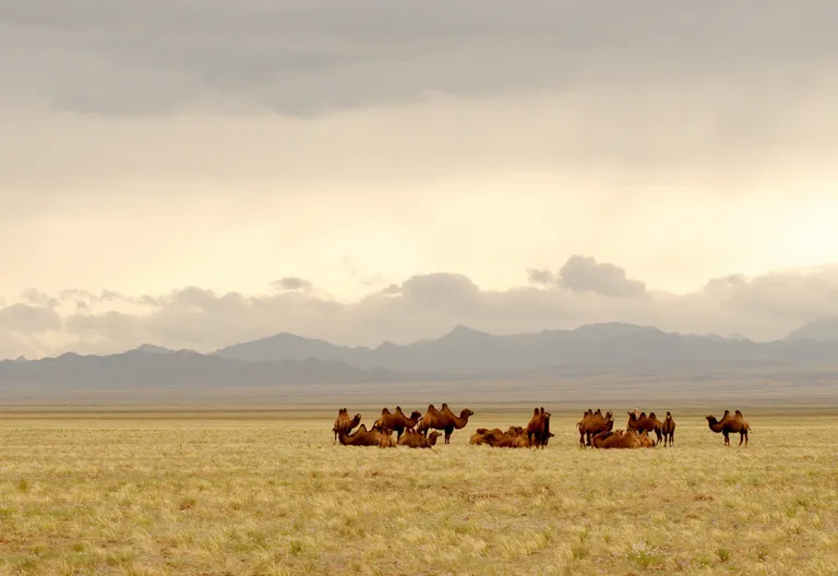 Altai Gebirge, Mongolei Reise