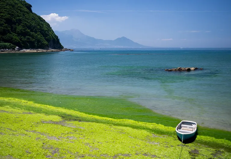 Kumamoto, Japan Reise