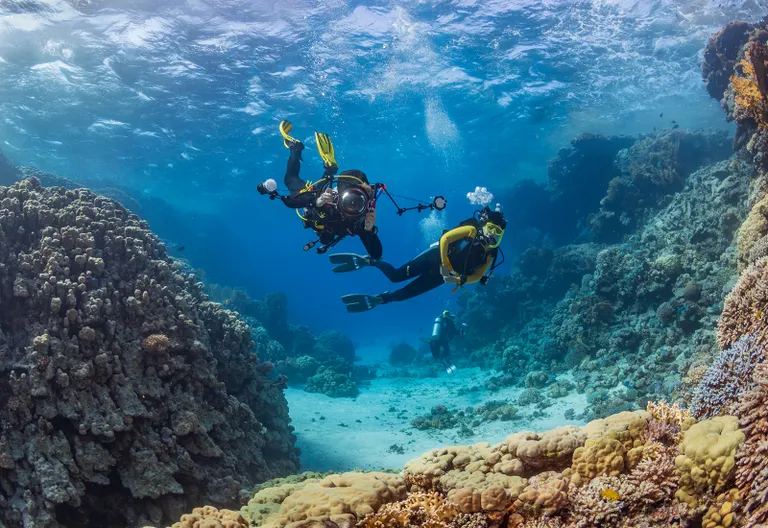 Tauchen im Roten Meer AdobeStock © underwaterstas