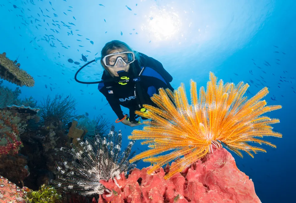 Taucherin am Riff