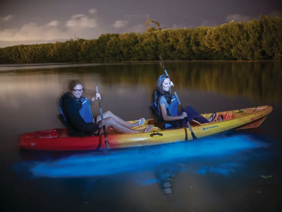 © 2025  Cayman Islands