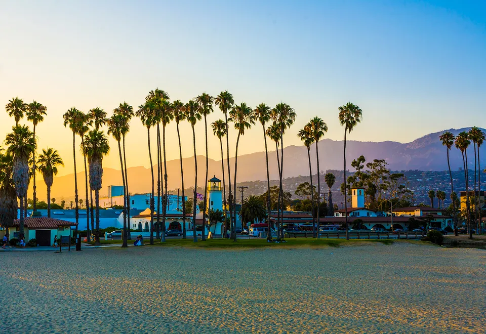 Palmen in Santa Barbara