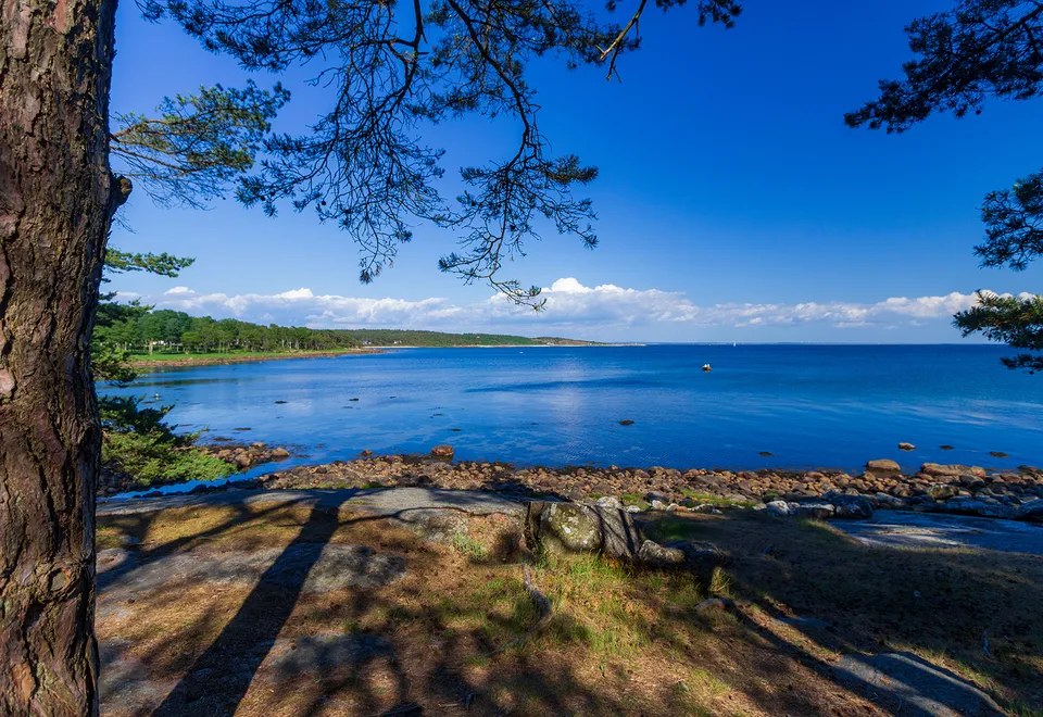 Küste bei Halmstad AdobeStock © João-Figueiredo