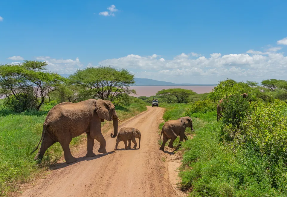 Safari im Tarangire Nationalpark